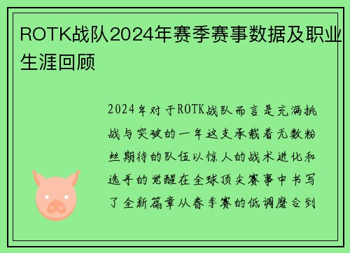 ROTK战队2024年赛季赛事数据及职业生涯回顾