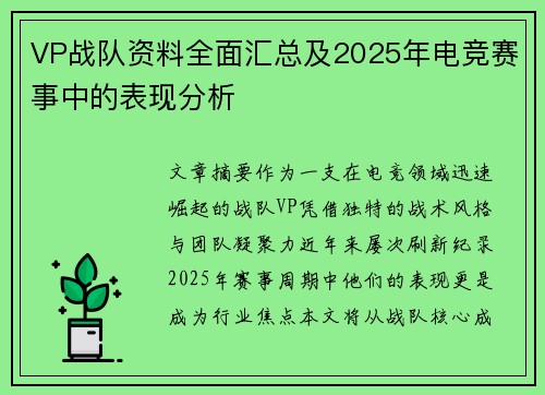 VP战队资料全面汇总及2025年电竞赛事中的表现分析